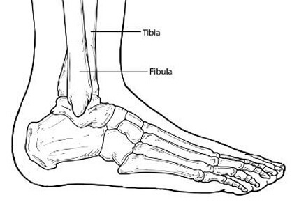 ankle fractures